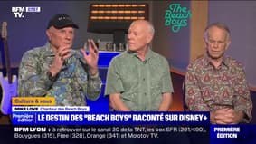 Le destin des "Beach Boys" raconté sur Disney+ - 28/05