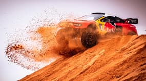 Sébastien Loeb lors de sa 3ème victoire d'étape