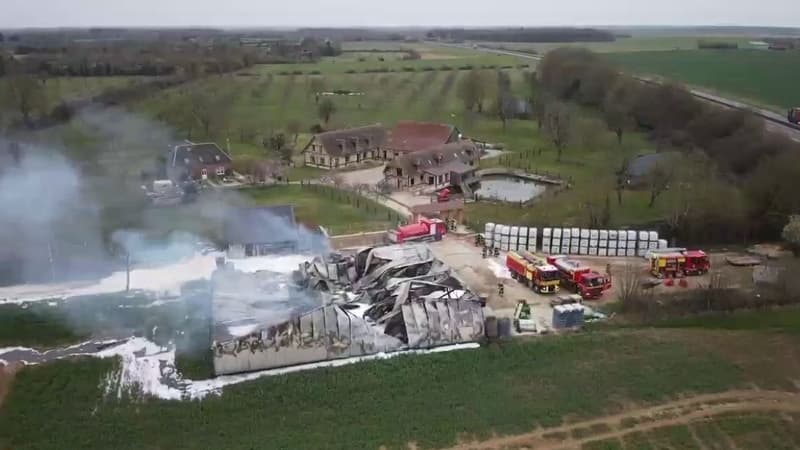 47 pompiers de l'Orne et de l'Eure étaient mobilisés ce vendredi 21 mars pour maîtriser l'incendie survenu dans une distillerie de Verneusses (Eure). 