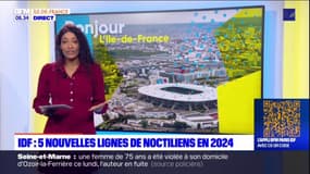 Île-de-France: cinq nouvelles lignes de noctiliens en 2024