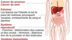 EFFETS DE LA RADIOACTIVITÉ SUR LE CORPS HUMAIN