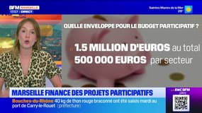 Marseille: 1,5 million d'euros débloqués pour le budget participatif et environ 900 projets proposés