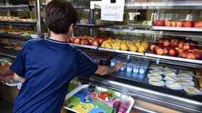 Un menu végétarien sera expérimenté dans les cantines scolaires