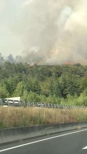 Important feu de forêt à Sévérac-d'Aveyron (Aveyron)  - Témoins BFMTV