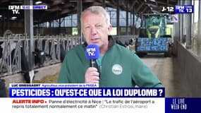 "On est en train de condamner notre agriculture française": Luc Smessaert (vice-président de la FNSEA) réagit à l'obstruction parlementaire de la loi Duplomb censée lever certaines contraintes