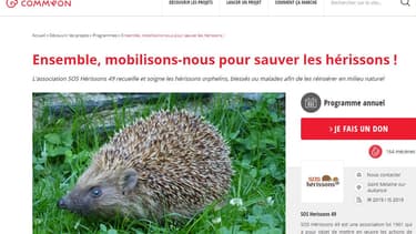 Commeon, la plateforme de mécénat participatif