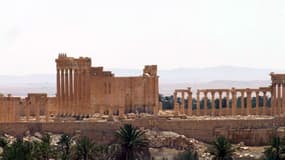La cité de Palmyre, trésor antique en Syrie, est menacée de destruction par le groupe Etat islamique.