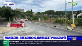 Manosque: aux Adrechs, travaux et pins coupés