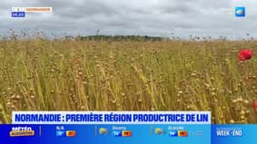 Balades Normandes du samedi 7 juin 2025