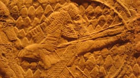 Archers assyriens. 