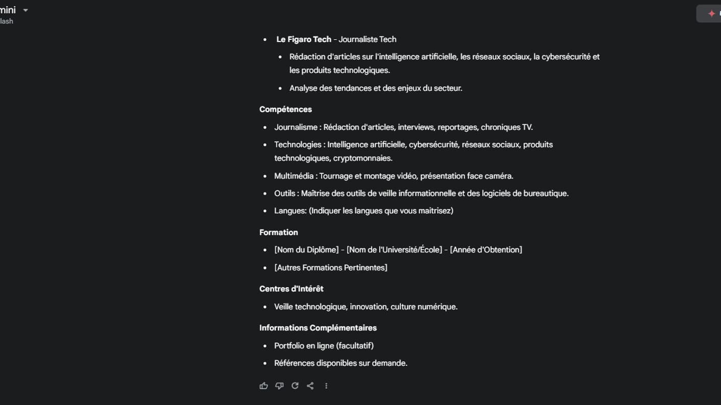 Une partie du CV généré par Gemini.