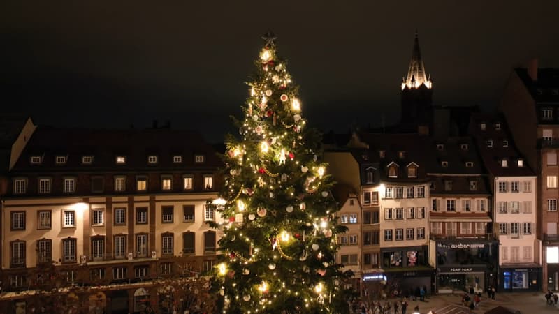 Besançon prépare Noël, deux grands sapins installés en centre-ville