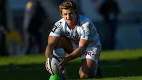 Lambie