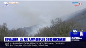 Alpes-Maritimes: plus de 80 hectares brûlés dans l'incendie à Saint-Vallier-de-Thiey