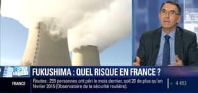 Fukushima: La France est-elle à l'abri de la même catastrophe nucléaire ?