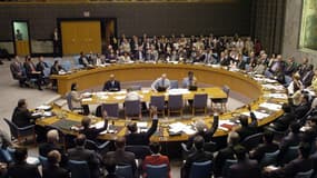 Le Conseil de sécurité des Nations-Unies.