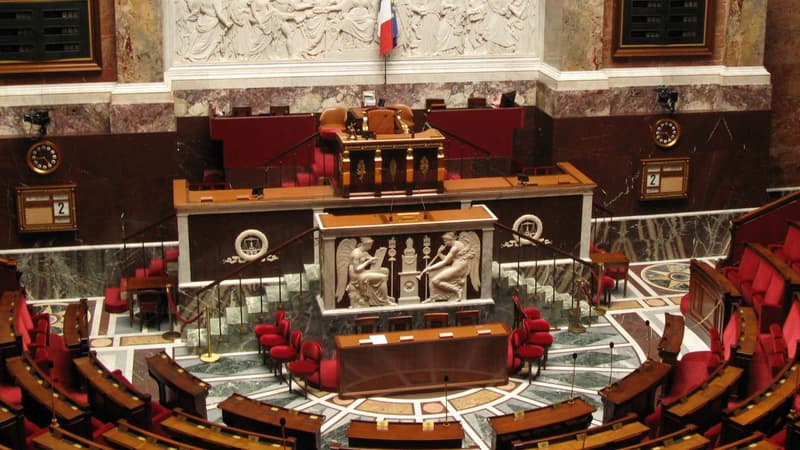 L'Assemblée a voté la suppression du mot "race" de la législation, ce jeudi 16 mai.