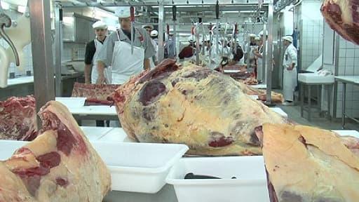 Un vaste trafic de viand de cheval a été démantelé le 16 décembre 2013.