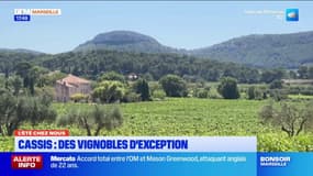 L'été chez nous: découvrir les vignobles d'exception à Cassis