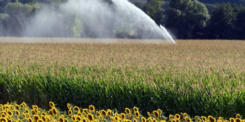 Un système d'irrigation par aspersion sur une plantation de maïs en juillet 2020 dans le sud-ouest de la France.