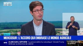 Mercosur: ce qu'il faut savoir sur le traité de libre-échange qui embrase le monde agricole