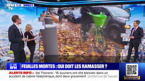 Qui doit ramasser les feuilles mortes et qui est responsable? BFMTV répond à vos questions