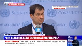 Pour l'ambassadeur adjoint de la Russie à l'ONU, "il n'y a pas de guerre en Ukraine"