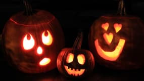 Une famille de citrouilles