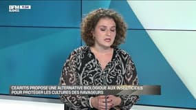 Marion Canale (Cearitis) : Cearitis propose une alternative biologique aux insecticides pour protéger les cultures des ravageurs - 13/11