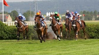 Les pronos hippiques du lundi 1er août 2022