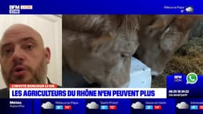 Rhône: "encadrer les marges" de la grande distribution pour une meilleure rémunération des agriculteurs