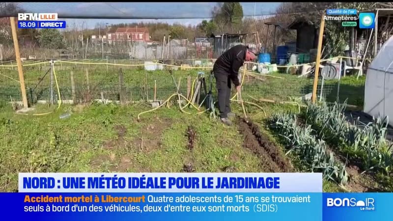 Météo printanière : on ressort les bêches et les râteaux