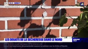 Nord: la sécheresse fait des dégâts, des maisons endommagées