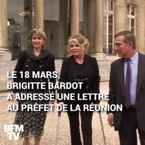 Le député Jean-Hugues Ratenon a dénoncé les déclarations racistes de Brigitte Bardot