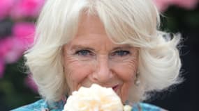 Camilla, épouse de Charles, le 27 juillet 2022 à Sandringham