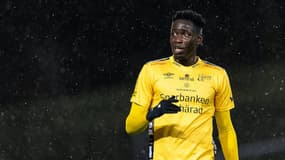 Elfsborg