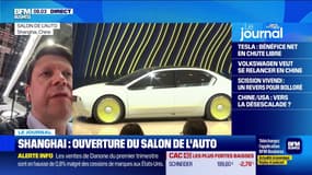 Salon de l'auto de Shaghai: "La réalité, c'est que le salon de Shanghai est avant tout un salon pour le marché chinois", estime Alexandre Marian