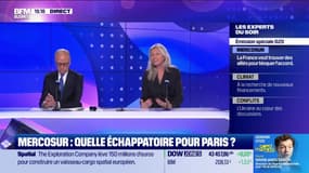 Mercosur : quelle échappatoire pour Paris ? - 18/11