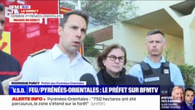 Incendie dans les Pyrénées-Orientales: 750 hectares ont été parcourus par le feu qui n'est "pas fixé", annonce le préfet