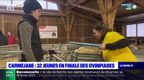 Carmejane: 32 jeunes en finale des Ovinpiades, le concours des meilleurs jeunes berger