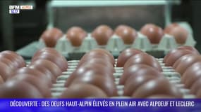 DECOUVERTE : Des œufs haut-alpins élevés en plein air avec Alpoeuf et Leclerc