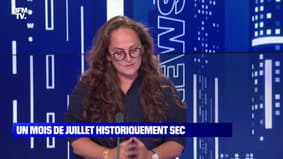 Un mois de juillet historiquement sec (3) - 27/07