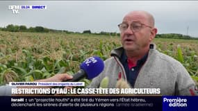 Sécheresse: le casse-tête des agriculteurs face aux restrictions d'eau
