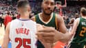 Boris Diaw 