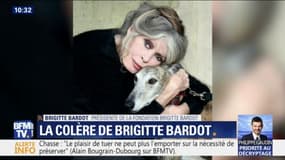 "La France est devenue un centre de loisirs pour extermination d'animaux" estime Brigitte Bardot