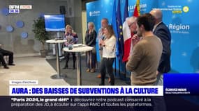 Métropole de Lyon: baisses des subventions régionales allouées à la culture