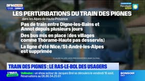 Train des Pignes: le ras-le-bol des usagers face aux suppressions de trajets