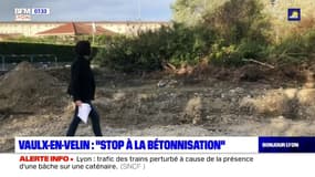 Vaulx-en-Velin: le projet de construction d'un Lidl contesté