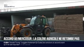 Accord UE-Mercosur: la colère agricole ne retombe pas et les mobilisations se poursuivent