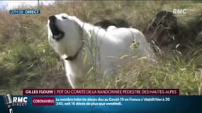 Gilles Flouw, regrette que les randonneurs soient privés de balade à cause des patoux